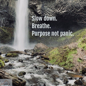 Purpose Not Panic